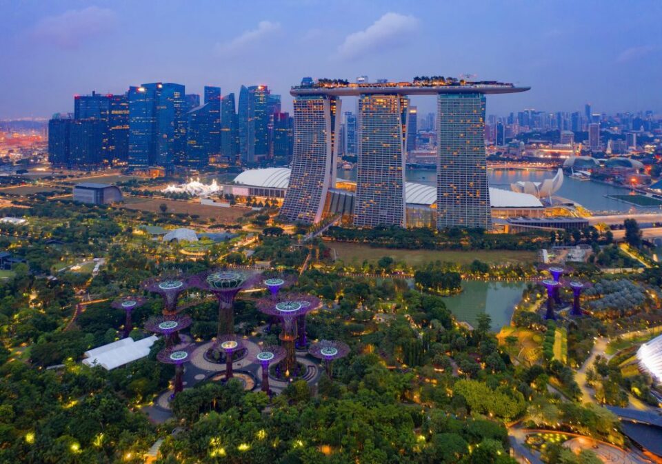 I "Gardens by the Bay" di Singapore e lo Skyline della città sullo sfondo